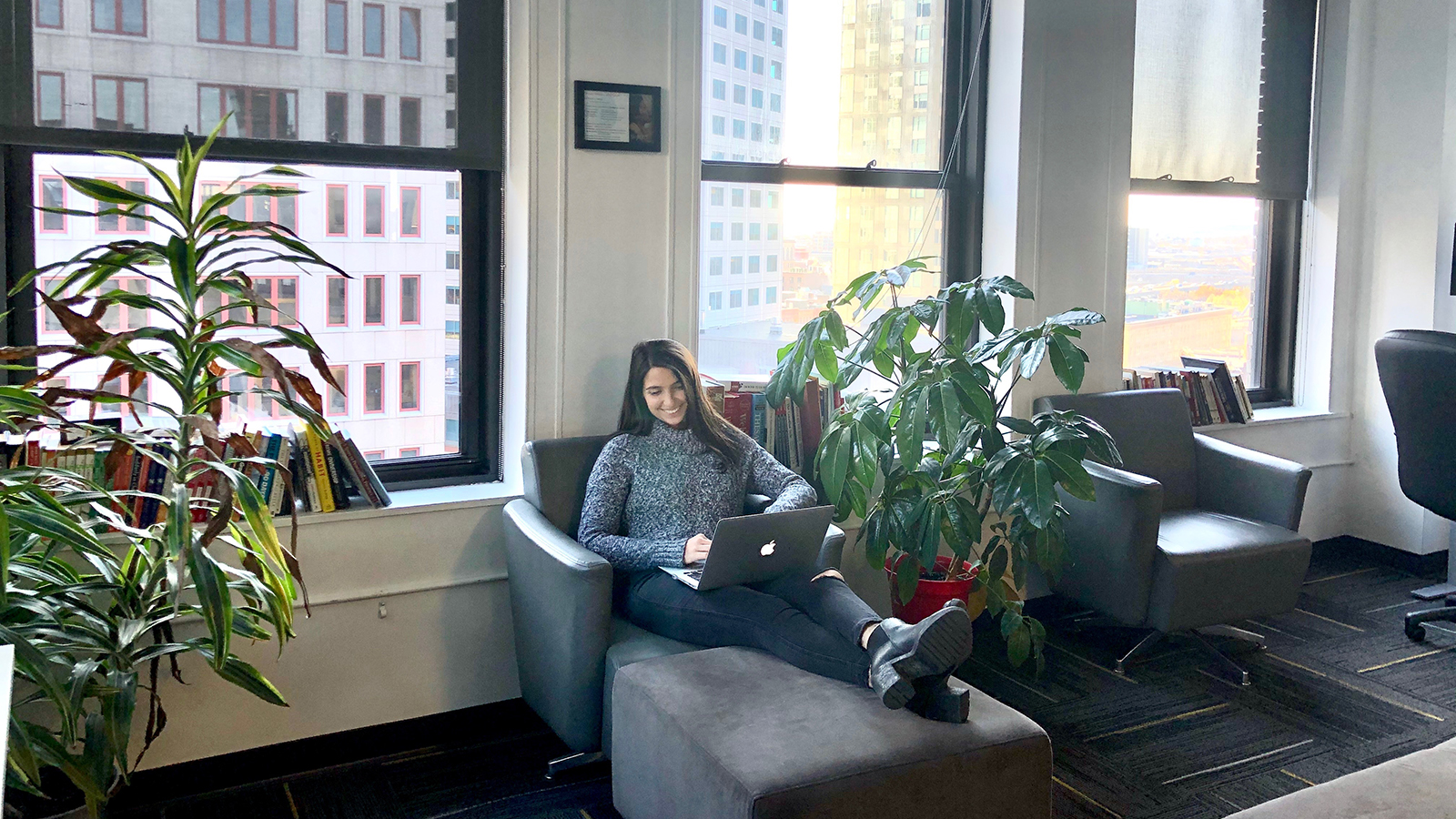 Boston-Office_Plants